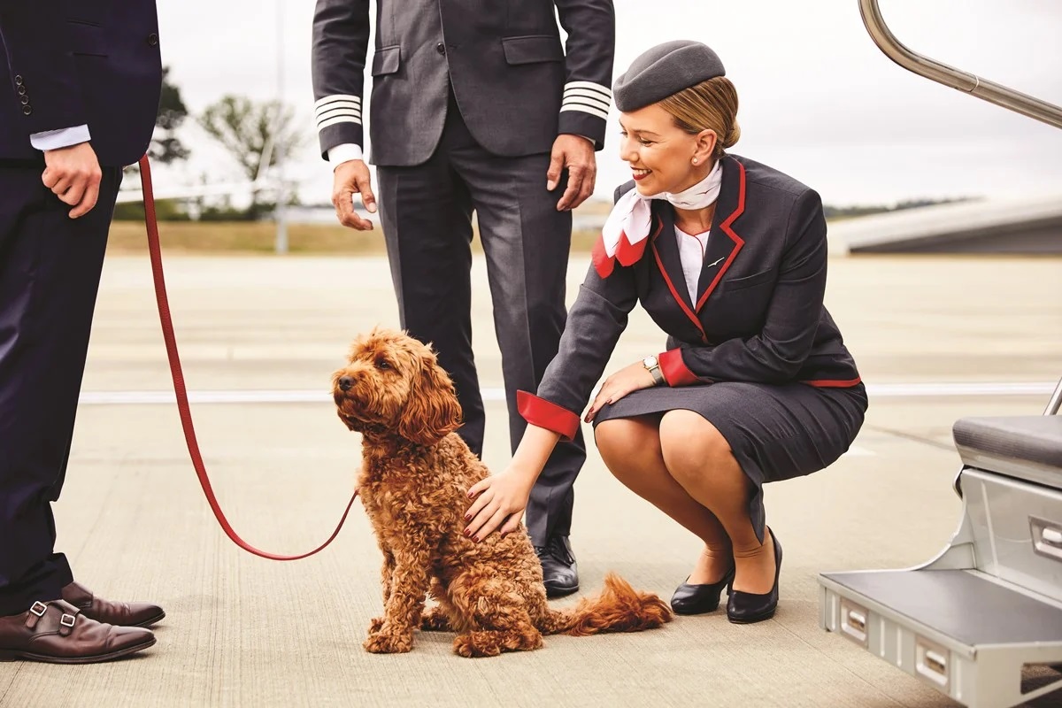 VistaJet:        17%